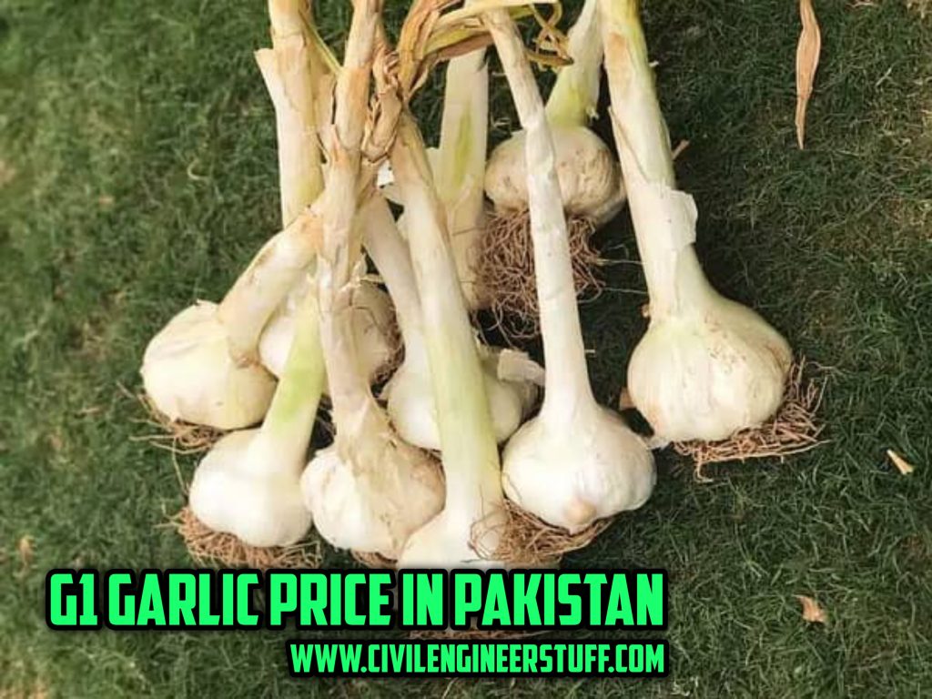 g1 garlic prices in Pakistan