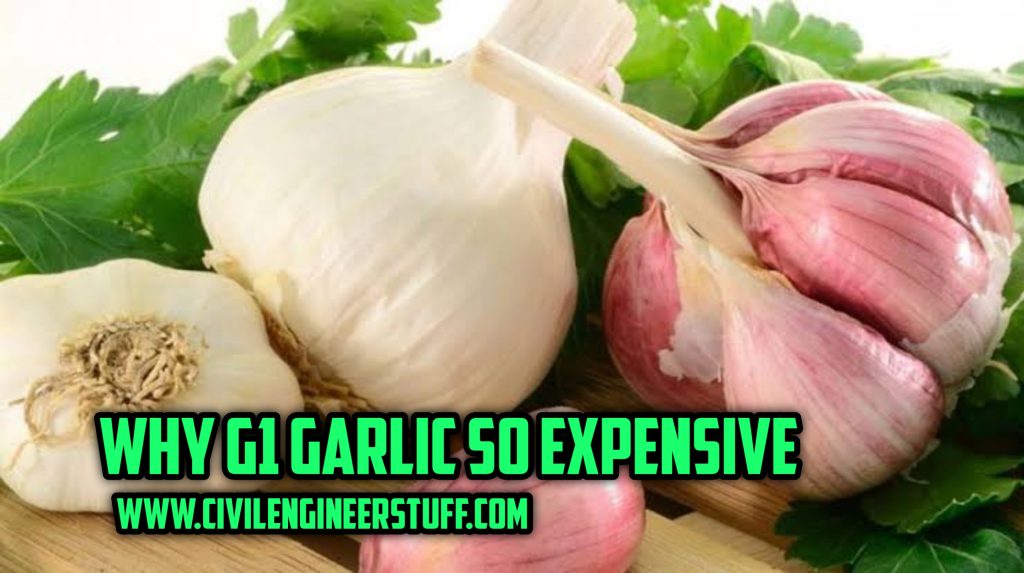 Why g1 garlic is so expensive
